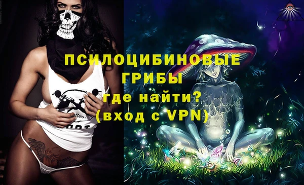 apvp Арсеньев