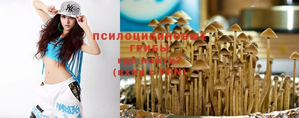 apvp Арсеньев