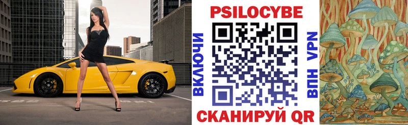 где можно купить   Североуральск  Псилоцибиновые грибы мицелий 